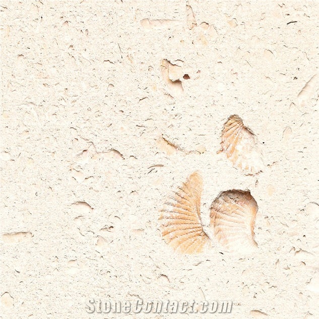 Cordova Shell Limestone importance=