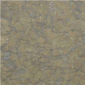 Corteccia Brown Marble