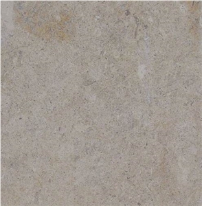 Corton Coquille Beige
