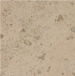 Corton Coquille Limestone