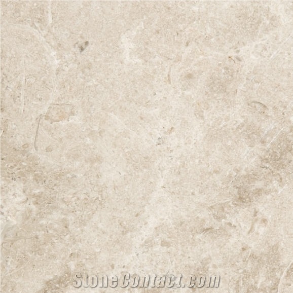 Cortona Limestone importance=