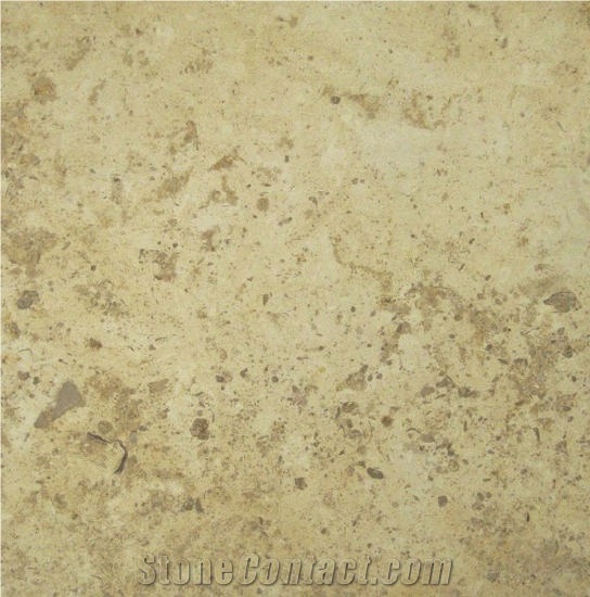 Coulmier Limestone importance=