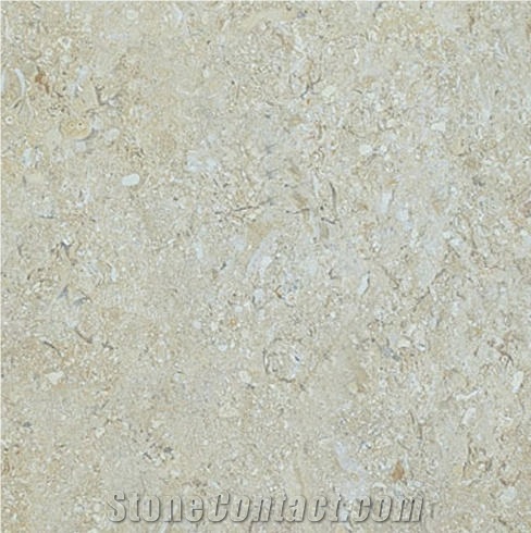 Cream Alden Limestone importance=