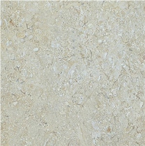 Cream Alden Limestone