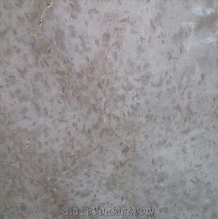 Cream Arroza importance=