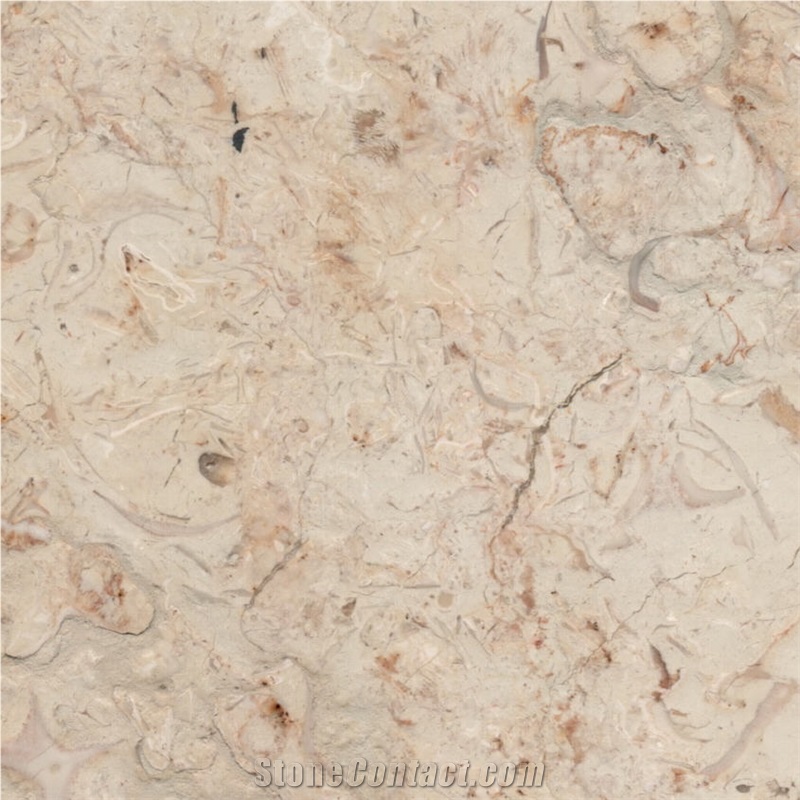 Cream Royal Tile