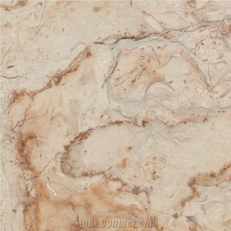 Cream Royal Tile