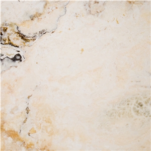 Cream Traonyx