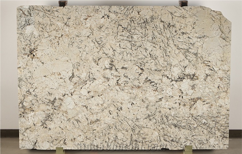 Crema Antarctica Granite Slab