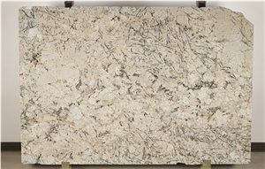 Crema Antarctica Granite Slab