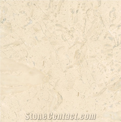 Crema Favorita Tile