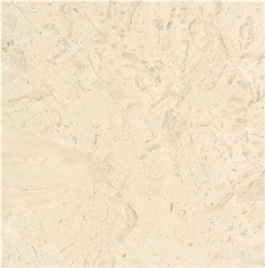 Crema Favorita Tile