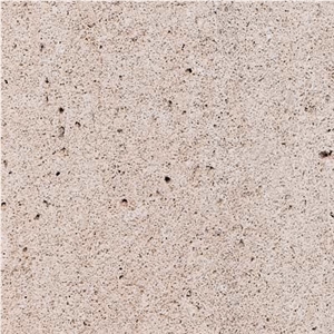 Crema Fosil Limestone