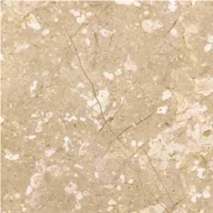 Crema Marfil Florido Marble