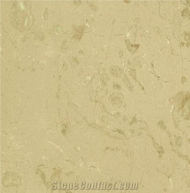 Crema Moca Limestone importance=