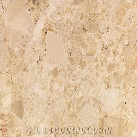 Crema Mora importance=