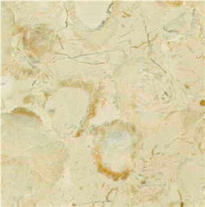 Crema Novita Tile