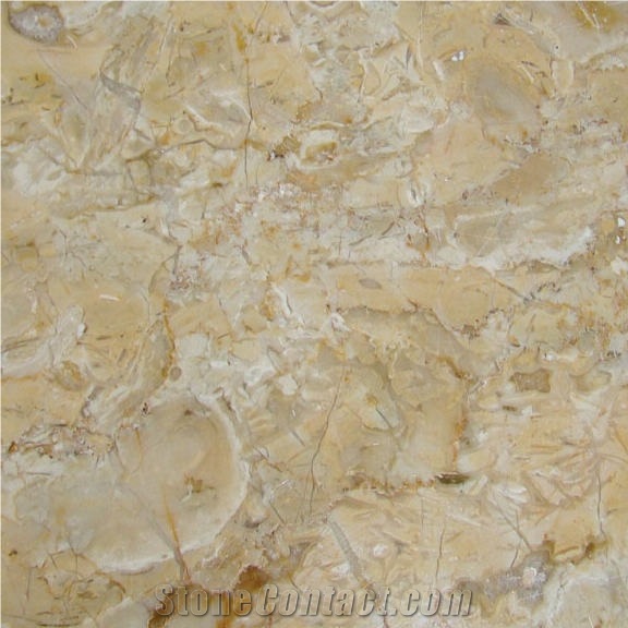 Crema Oro importance=