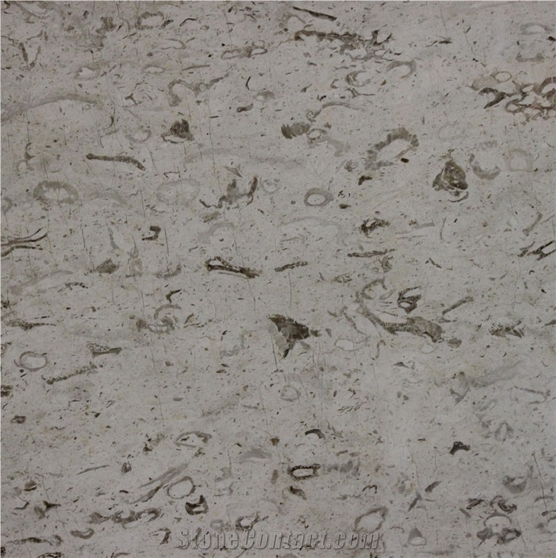 Crema Perlato Limestone importance=