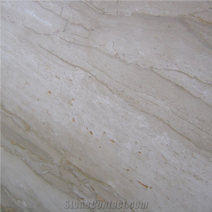 Daino Medio Tile