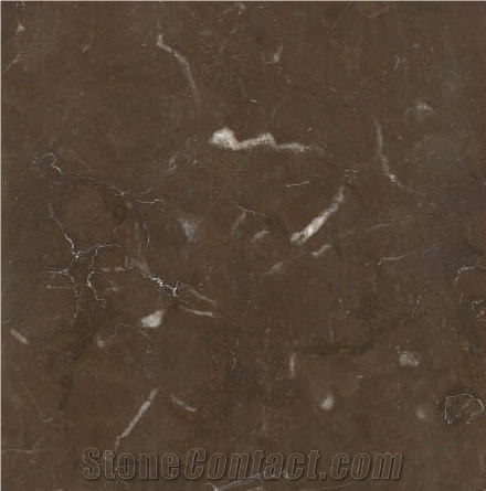 Debnik Limestone importance=