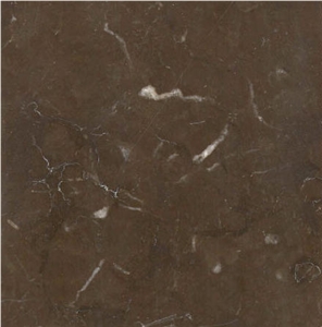 Debnik Limestone