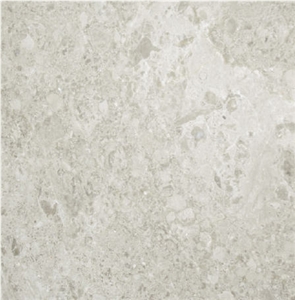Delicate Grey Marble