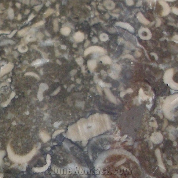 Derbyshire Limestone importance=