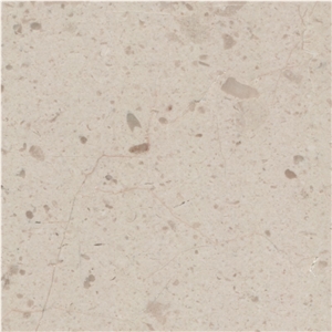 Desert Beige Tile