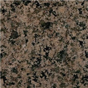 Desert Brown