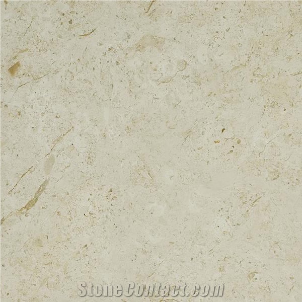 Desert Cream Limestone importance=