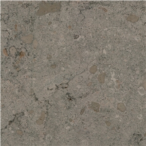 Desert Grey Limestone 