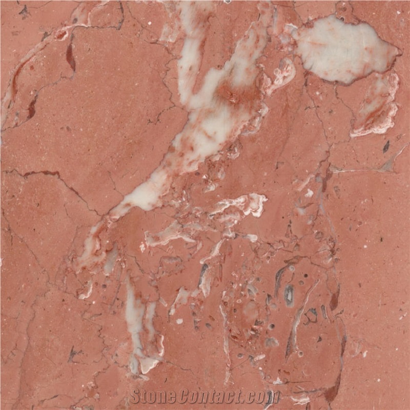 Diana Rose Marble importance=
