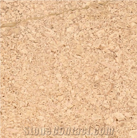 Dieue Limestone importance=