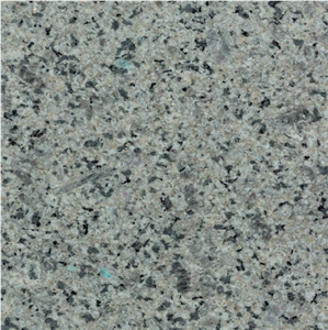 Dolphin Granite