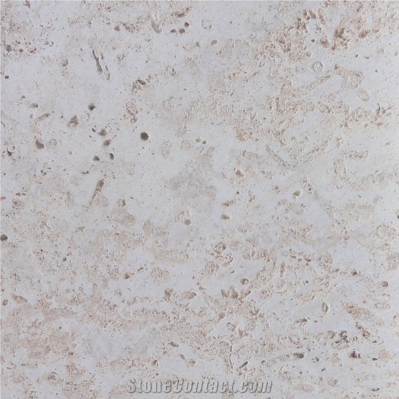 Dominican White Coral Stone importance=