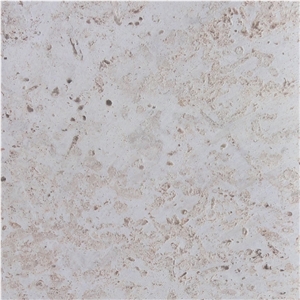 Dominican White Coral Stone