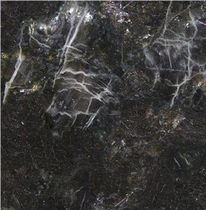 Donau Serpentine Marble Tile