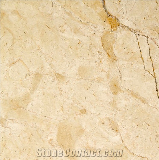Dorado Tepexi Limestone importance=
