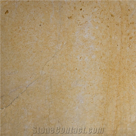 Dorado Tepexi Limestone Tile