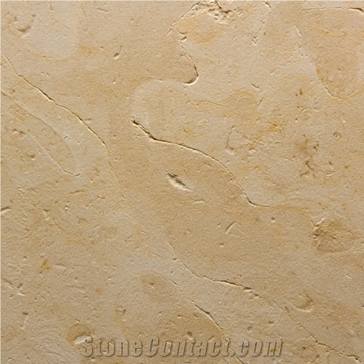Dorado Tepexi Limestone Tile