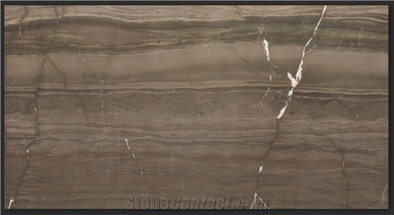 Duetto Quartzite Slab