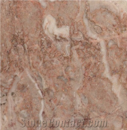 Edelfels Graurot importance=