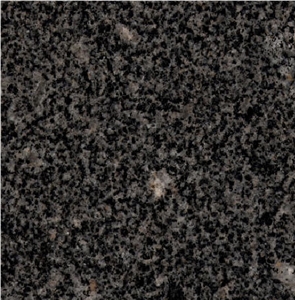 Egyptian Dark Granite