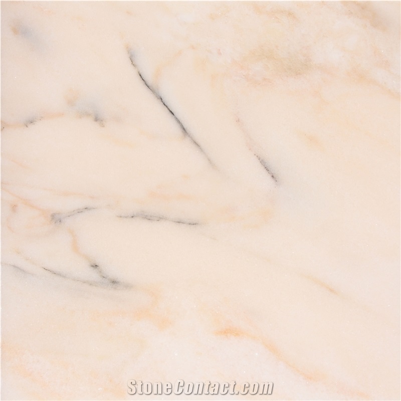 Estremoz Pardais Creme Marble importance=