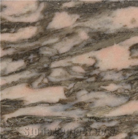 Estremoz Scuro Marble importance=