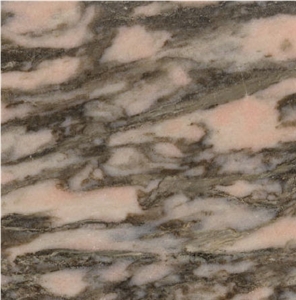 Estremoz Scuro Marble