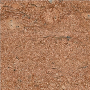 Eta Gold Sandstone Tile