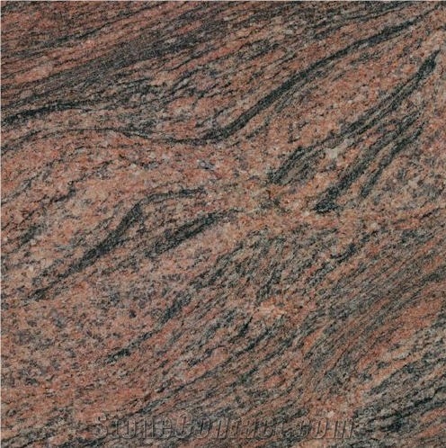 Fantasia Salmon importance=