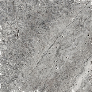 Fantastic Silver Travertine Tile